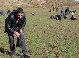 Bingöllülerin gök taşı satışına vergi yok