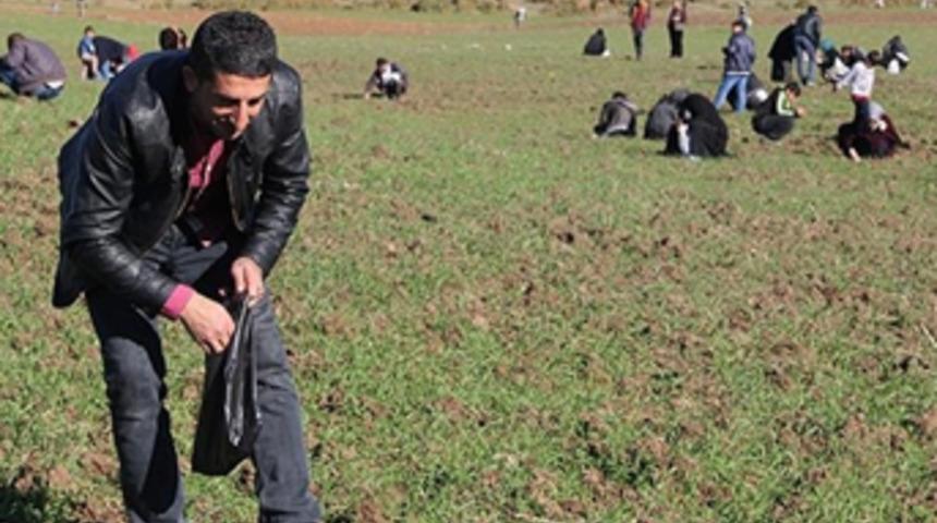 Bingöllülerin gök taşı satışına vergi yok