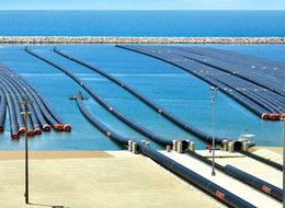 Yavru vatana vanalar kapatıldı mı?