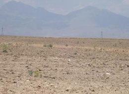 Tuz aranırken petrol bulundu