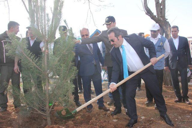 Bingöl’de fidan dikme etkinliği