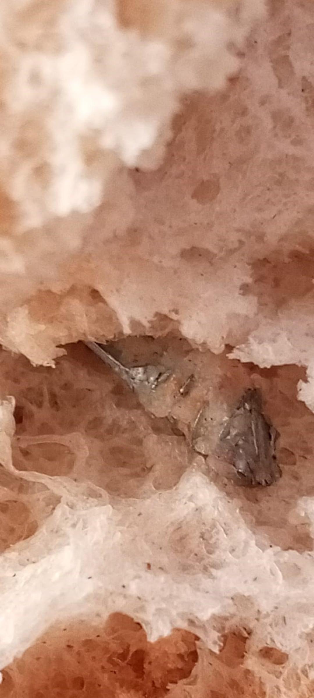 B&ouml;ylesi g&ouml;r&uuml;lmedi! Fırından alınan ekmeğin i&ccedil;inden vida &ccedil;ıktı 1