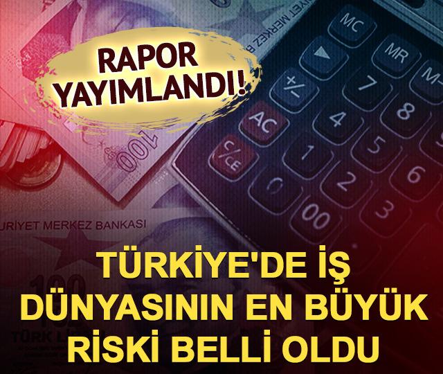 T&uuml;rkiye'de iş d&uuml;nyasının en b&uuml;y&uuml;k riski belli oldu