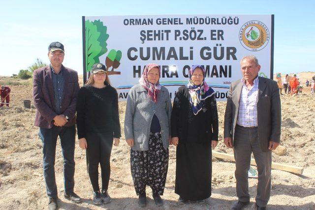 Manavgat’ta Şehit Gür için hatıra ormanı