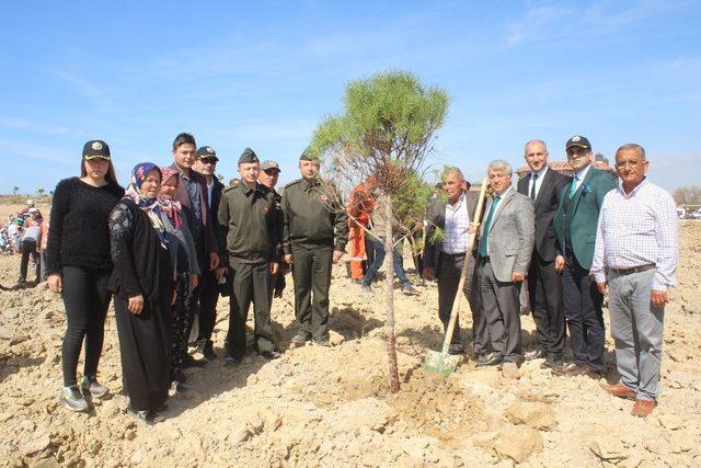 Manavgat’ta Şehit Gür için hatıra ormanı