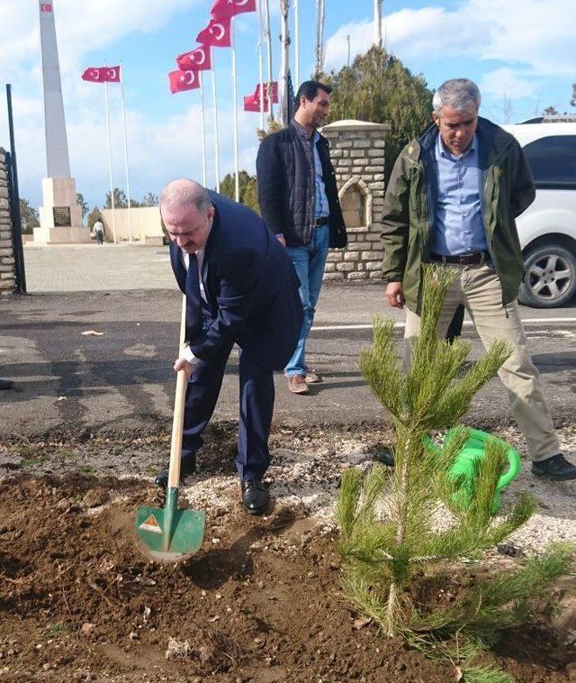 Başkan Özgökçe’den ‘Dünya Ormancılık Günü’ mesajı