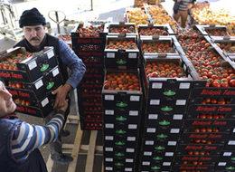 Türkiye'nin meyve-sebzesine ilk müşteri çıktı