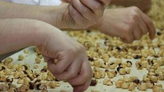 Üreticide 11 lira, rafta 60 lira