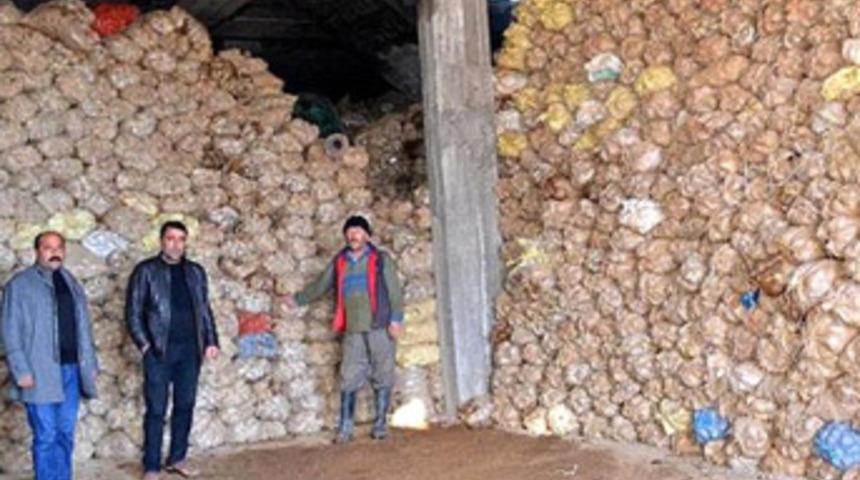 Tonlarca patates terör yüzünden ellerinde kaldı