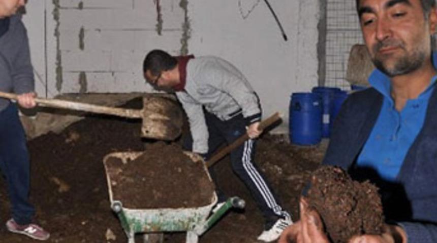 Organik ürünler artık kaliforniya solucanı gübresiyle yetişecek
