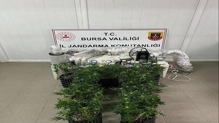 İnegöl’de uyuşturucu operasyonu: Evde esrar üretim düzeneği ele geçirildi