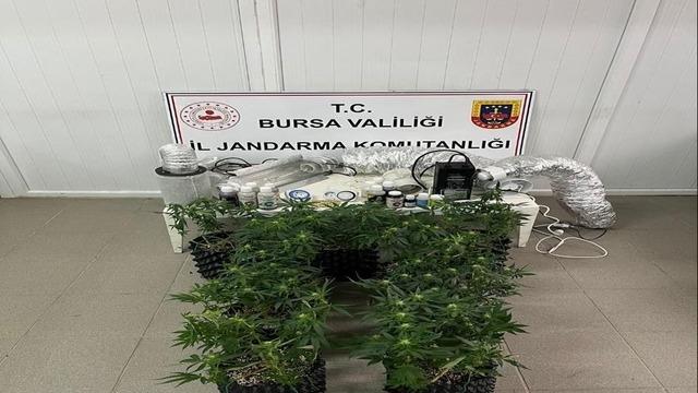 İnegöl’de uyuşturucu operasyonu: Evde esrar üretim düzeneği ele geçirildi