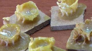 10 gramı 250 liraya alıcı buluyor