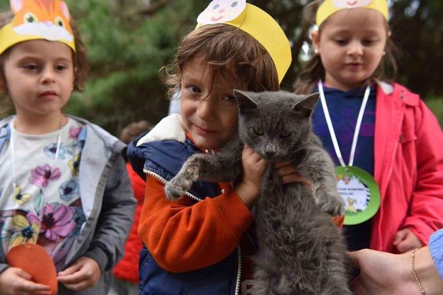 Yıldırım Belediyesi&rsquo;nden sokak hayvanlarına sıcak yuva 2