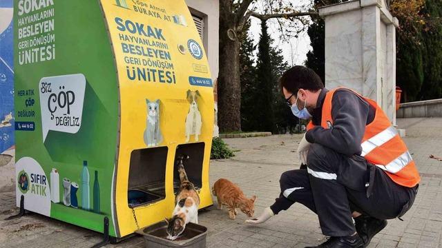 Yıldırım Belediyesi’nden sokak hayvanlarına sıcak yuva