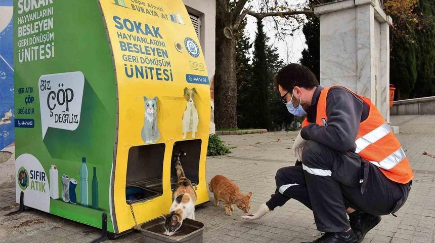 Yıldırım Belediyesi&rsquo;nden sokak hayvanlarına sıcak yuva