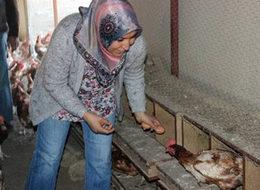 Çocuklarının yumurta ihtiyacı anneye çiftlik kurdurdu