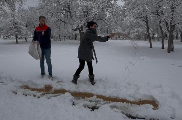 Karaman&rsquo;da yaban hayvanları ve kuşlar i&ccedil;in doğaya yem bırakıldı 1