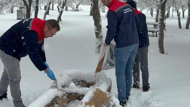 Karaman’da yaban hayvanları ve kuşlar için doğaya yem bırakıldı