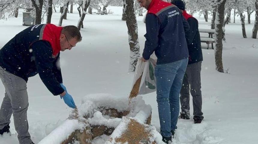 Karaman&rsquo;da yaban hayvanları ve kuşlar i&ccedil;in doğaya yem bırakıldı