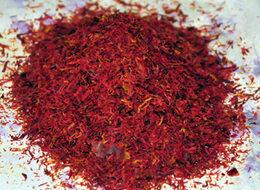 Kilosu 15 bin lira olan safran gramla satılabiliyor