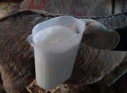 Litresi 80 lira! Talep yağıyor