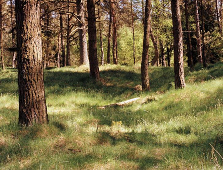 Bu fotoğraftaki keskin nişancıyı bulun G1