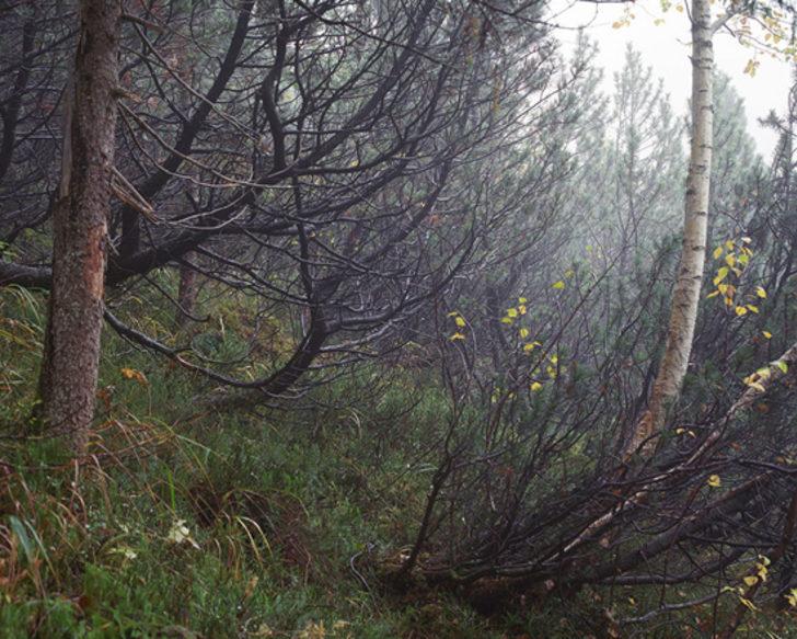 Bu fotoğraftaki keskin nişancıyı bulun G3