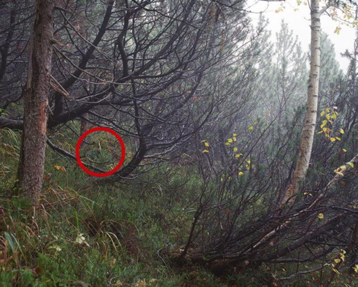 Bu fotoğraftaki keskin nişancıyı bulun G4