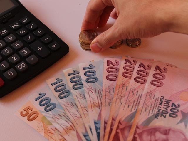 Vatandaşlık maaşı hayata ge&ccedil;iriliyor! Bu yıl başlayacak: Kira ve ısınma yardımı verilecek