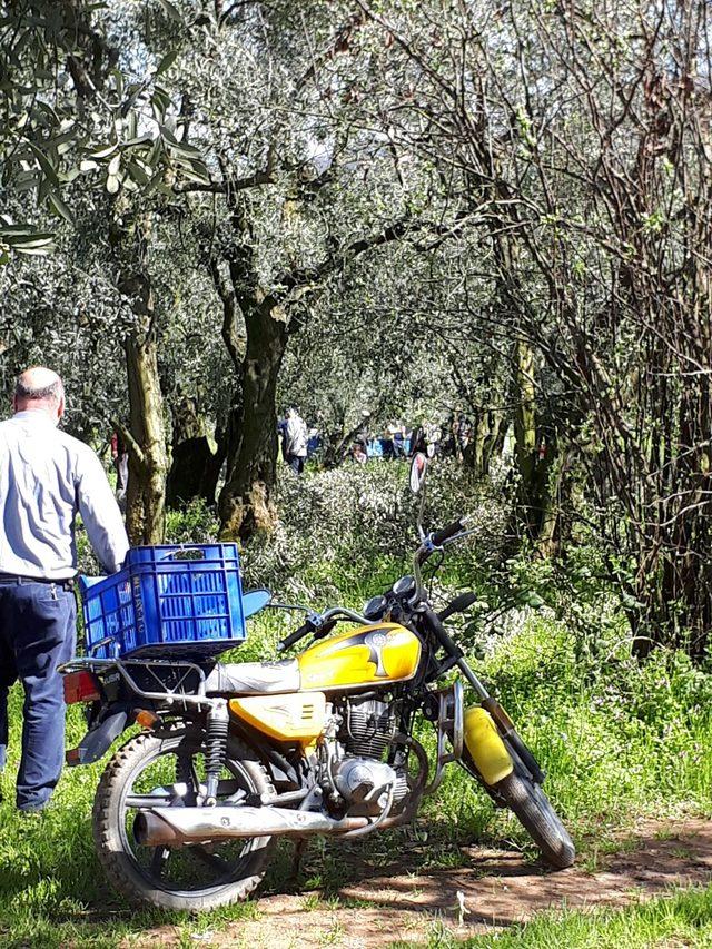 Bursa'da eski muhtar zeytinlikte ölü bulundu