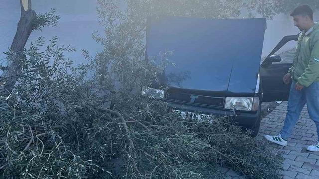 Süratli otomobil önce ağaca sonra duvara çarptı