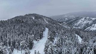 Kastamonu ormanlarında kış güzelliği
