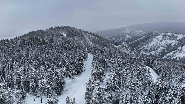 Kastamonu ormanlarında kış güzelliği