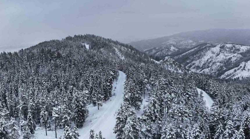Kastamonu ormanlarında kış g&uuml;zelliği