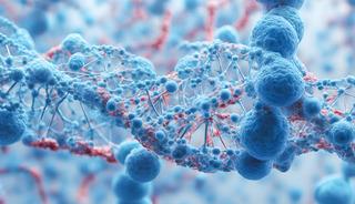 T&uuml;rk bilim insanları keşfetti: D&uuml;nya literat&uuml;r&uuml;ne girdi