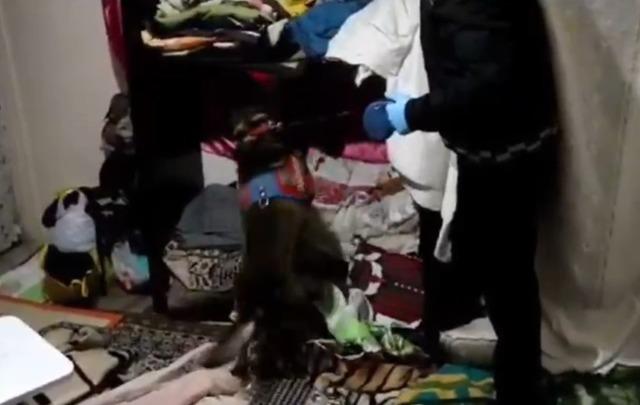 Kastamonu&rsquo;da uyuşturucu operasyonlarında 9 g&ouml;zaltı 4