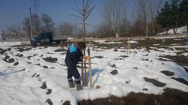 Başiskele&rsquo;de yeşil alan &ccedil;alışmaları devam ediyor 1