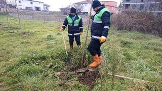 Başiskele’de yeşil alan çalışmaları devam ediyor