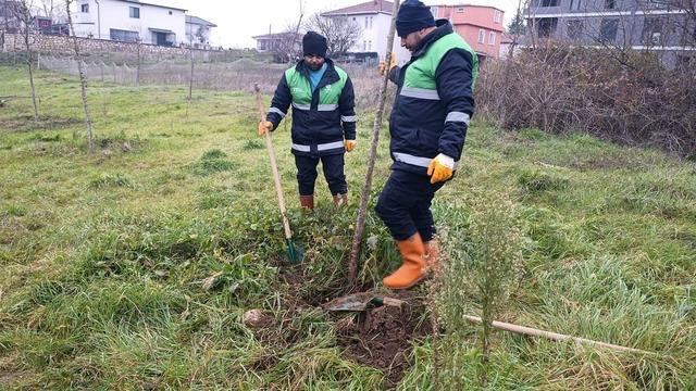 Başiskele’de yeşil alan çalışmaları devam ediyor