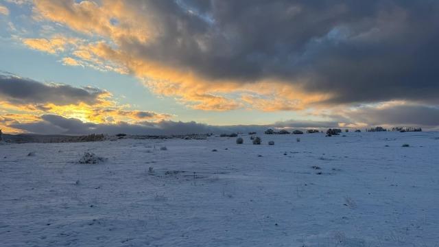 Çimsa, şehitlik için 80 yıllık rezervden feragat ediyor