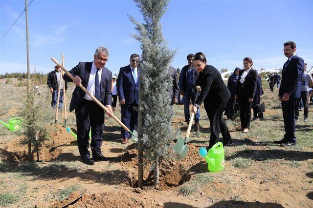 Daha yeşil bir Aksaray için fidanlar toprakla buluştu