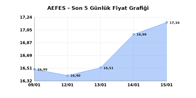 ANADOLU EFES (AEFES) 16 Ocak Cuma 2026 G&uuml;nl&uuml;k Teknik Analiz 1