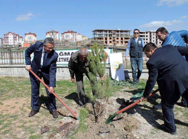 Akdağmadeni’nde öğrenciler okul bahçesine ağaç dikti