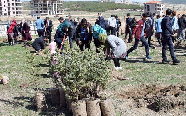 Akdağmadeni’nde öğrenciler okul bahçesine ağaç dikti