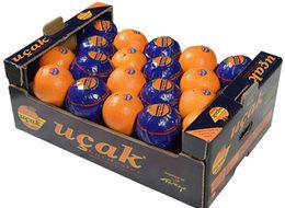 Rusya ile ikinci  "uçak" krizi