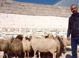 Vatandaş ucuz etin çaresini buldu