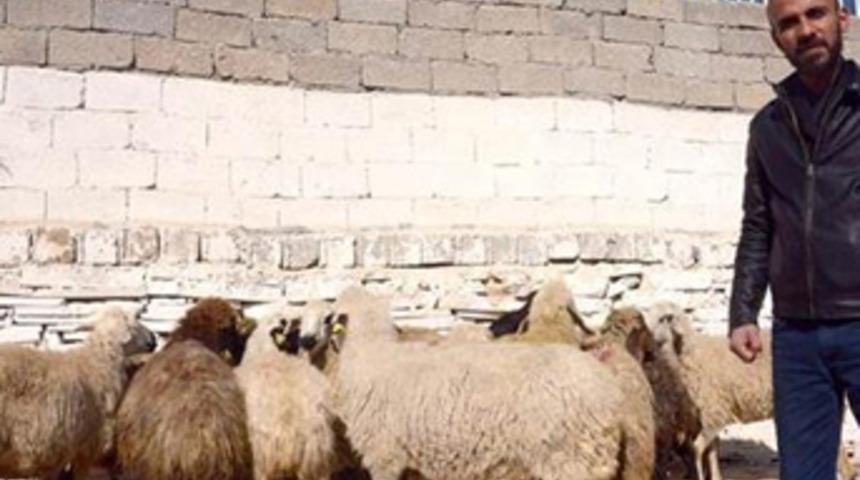 Vatandaş ucuz etin çaresini buldu