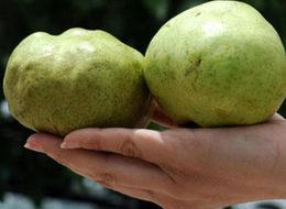 Fiyatı 1 TL'ye düştü ama alan yok