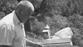 Kestiği ağa&ccedil; sonu oldu!